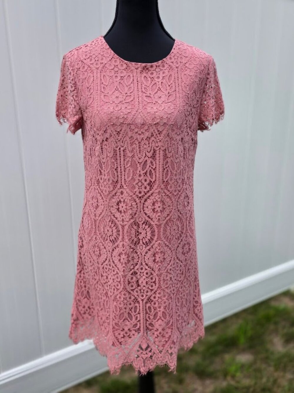 Francesca’s Vanna Dusty Rose Pink Scalloped Lace Shift Dress S